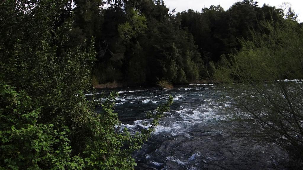 Karue Domos Del Fuy Aparthotel Neltume Kültér fotó